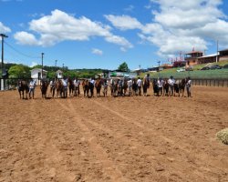Cavaleiros alinhados para o ato cumprimentam os presentes 