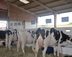 A exposi&ccedil;&atilde;o pode ser conferida no Pavilh&atilde;o de Bovinos