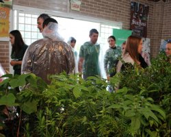 Mudas de plantas nativas est&atilde;o sendo distribu&iacute;das entre os visitantes do Viveiro Florestal