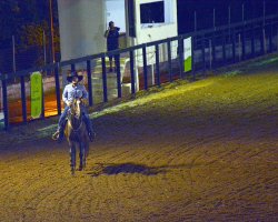 Com o tempo de 15,777 segundos, Valdinei Sidrone de Freitas com Miss Brendy Fones ficou em 1&ordm; lugar na 1&ordf; classificat&oacute;ria