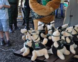  Ao todo, foram distribu&iacute;dos 10 mascotes de pel&uacute;cia e 10 fantoches de dedos