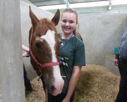 Ana Paula Siemer auxilia no pavilh&atilde;o de equinos