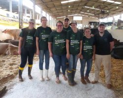 Alunos volunt&aacute;rios da Unochapec&oacute; est&atilde;o no pavilh&atilde;o de bovinos