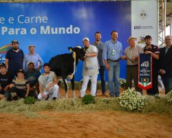 O t&iacute;tulo de Reservada Campe&atilde; F&ecirc;mea Jovem ficou com a fam&iacute;lia Dariva, de Chapec&oacute;