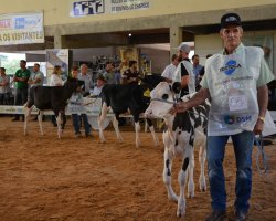 Produtores conduziram os animais para a avalia&ccedil;&atilde;o