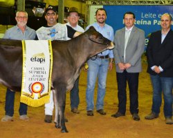 A Campe&atilde; Suprema Jovem da EFAPI 2017 foi a f&ecirc;mea Jersey de Nelson Eduardo Ziehlsdorff