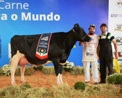 A Grande Campe&atilde; foi a vaca Sipal Elsa 926 Reginald 232556 do criador Clair Eloy Dariva