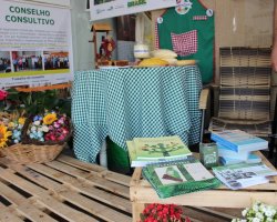Al&eacute;m de conhecer o espa&ccedil;o, &eacute; poss&iacute;vel ter acesso a informa&ccedil;&otilde;es sobre o Parque Nacional das Arauc&aacute;rias