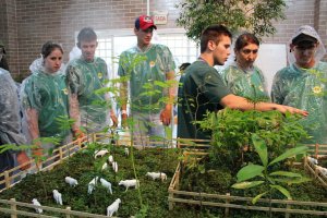 Mudas para um futuro mais ecol&oacute;gico