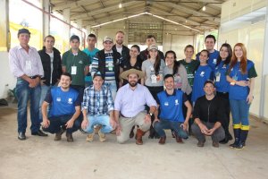 Ovinocultura em ascens&atilde;o na regi&atilde;o