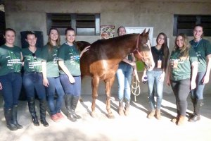 Alunos volunt&aacute;rios trabalham na EFAPI 2017