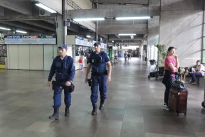 Guarda Municipal apreende mais de dez ve&iacute;culos furtados