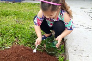 Ceim trabalha a educa&ccedil;&atilde;o ambiental