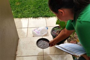 Combate ao Aedes Aegypti deve ser frequente