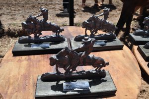 Conhecidos os cavalos credenciados para o Freio de Ouro