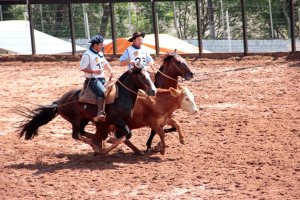 Selecionados primeiros animais da prova que credencia para o "Freio de Ouro 2018"