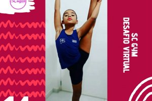 Ginastas de Chapec&oacute; participam de desafio virtual