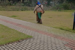 Superintend&ecirc;ncia da Grande Efapi realizou mais de 45 mil atendimentos em 2025