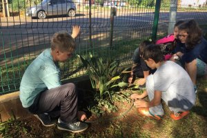 Projeto ensina valores, responsabilidade e compromisso