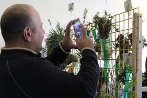 10&deg; Exposi&ccedil;&atilde;o de Orqu&iacute;deas encerra com sucesso de p&uacute;blico