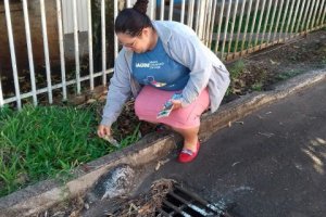 Mutir&atilde;o de Combate ao Aedes Aegypti em Chapec&oacute;