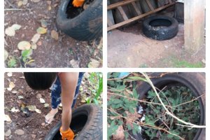 Chapec&oacute; realiza Mutir&atilde;o de Combate ao Aedes Aegypti 