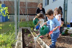 CEIM desenvolve atividades do projeto pequenos ambientalistas