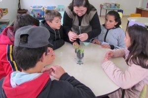 Escola realiza semana do Meio Ambiente em Chapec&oacute;