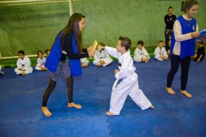 Taekwondo de Chapec&oacute; conquista t&iacute;tulo estadual