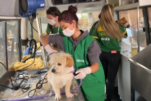 NAPA far&aacute; a&ccedil;&atilde;o na Pra&ccedil;a da Fam&iacute;lia