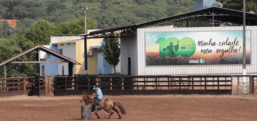 Iniciam nesta quinta-feira provas tr&ecirc;s tambores com cavalo Quarto de Milha