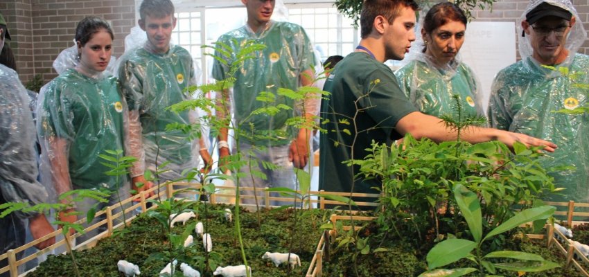 Mudas para um futuro mais ecol&oacute;gico