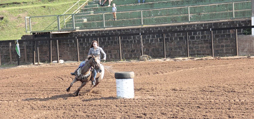 Cavalo Quarto de Milha Primeira classificat&oacute;ria da prova tr&ecirc;s tambores