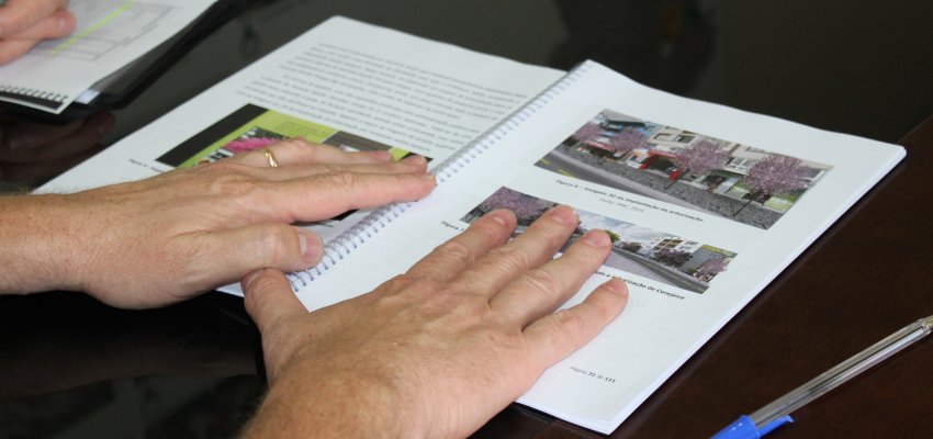 Plano de Arboriza&ccedil;&atilde;o Urbana de Chapec&oacute; &eacute; institu&iacute;do