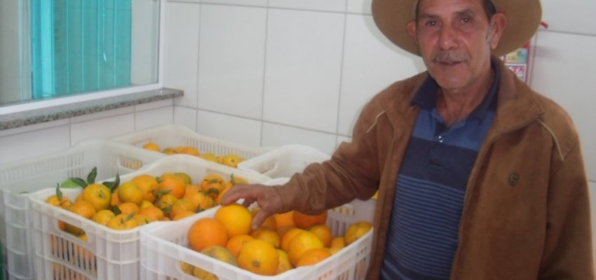 Produtos da agricultura familiar s&atilde;o de qualidade e geram renda