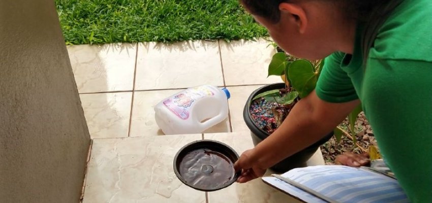 Mesmo com o frio, cuidados com o Aedes Aegypti devem continuar