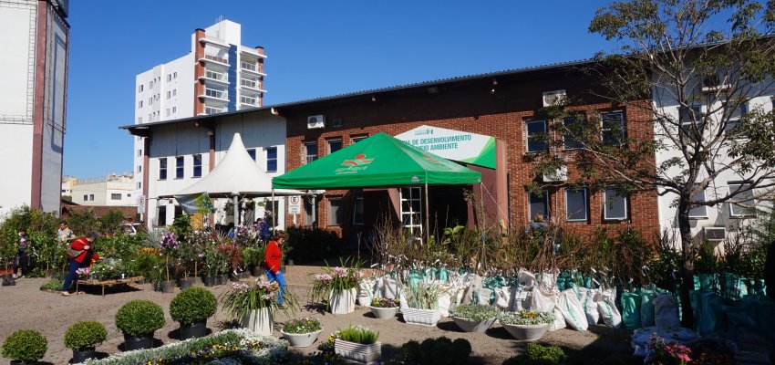 9&ordf; Edi&ccedil;&atilde;o da Feira de Mudas Frut&iacute;feras de Chapec&oacute;