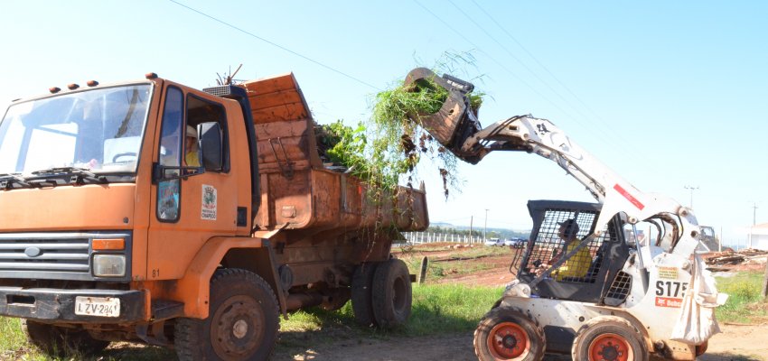 Per&iacute;odo de coleta de galhos inicia no m&ecirc;s de maio