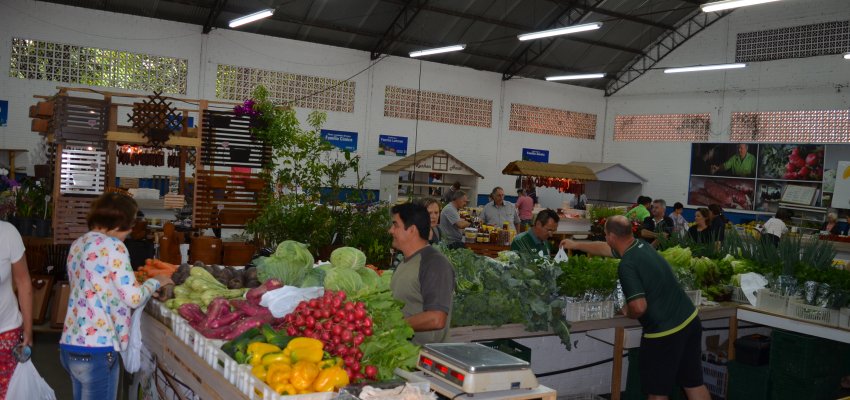 Feiras Livres: Projeto de Lei visa regulamentar a atividade e explora&ccedil;&atilde;o dos espa&ccedil;os