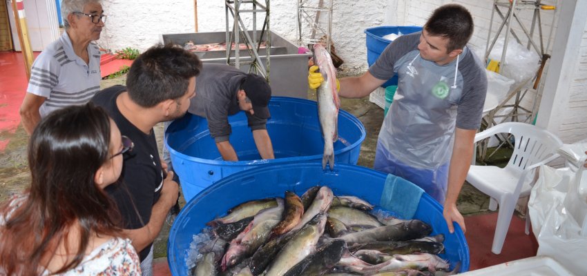 Feira do Peixe supera expectativa de vendas 