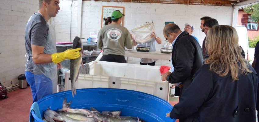 Feiras intensificam venda de peixe na semana santa
