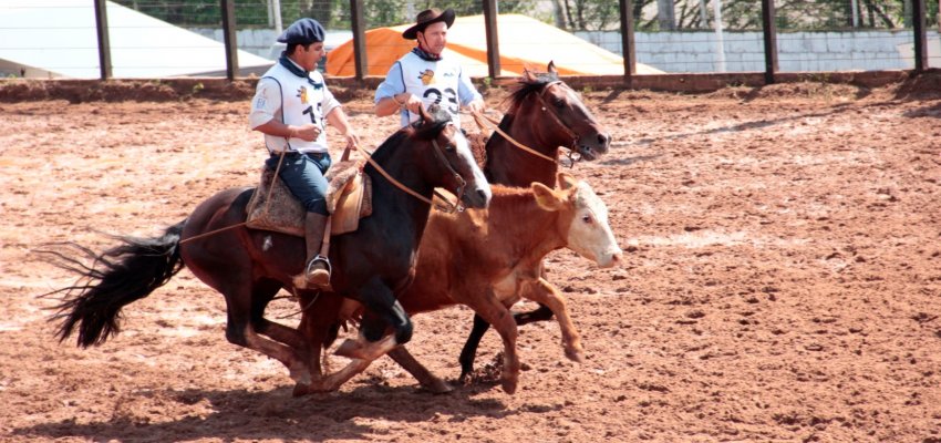 Selecionados primeiros animais da prova que credencia para o "Freio de Ouro 2018"