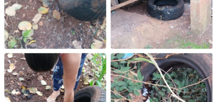 Chapec&oacute; realiza Mutir&atilde;o de Combate ao Aedes Aegypti 