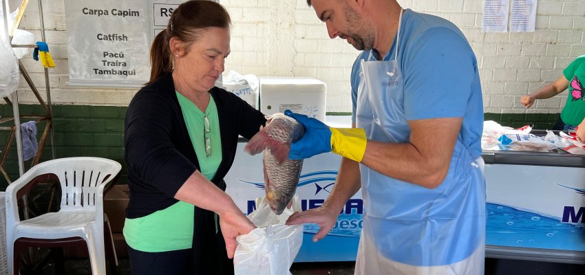 Inicia a tradicional Feira do Peixe em Chapec&oacute;