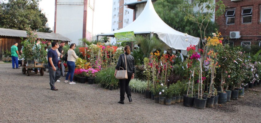 Secretaria de Desenvolvimento Rural promover&aacute; Feira de Mudas na pr&oacute;xima semana