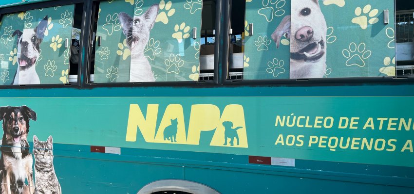 NAPA faz atendimento na Pra&ccedil;a da Fam&iacute;lia