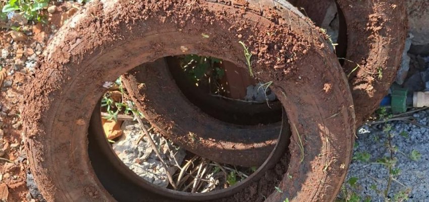 Mais de sete mil visitas realizadas no Dia D de combate &agrave; dengue em Chapec&oacute;