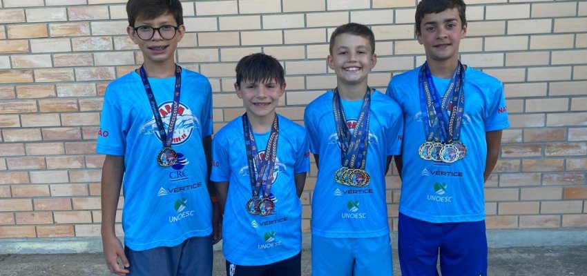 APAN Chapec&oacute; brilha no 4&deg; Festival Mirim e Petiz