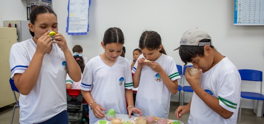 Aromas que Transformam: Projeto da EBM Nova Aurora une Sustentabilidade e Empreendedorismo