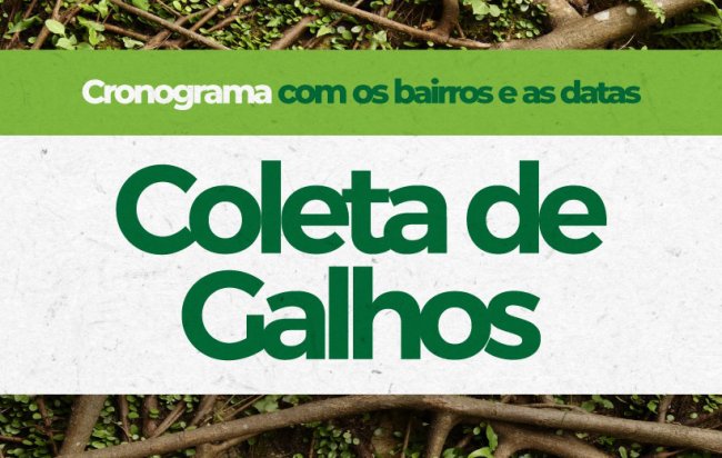 Coleta de galhos